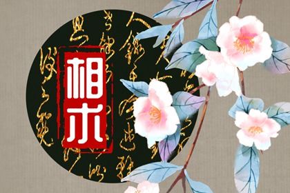 脚底有痣代表什么 不同位置的痣的不同寓意分析