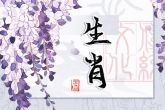 各属相2022年运势 壬寅年分析十二生肖运势