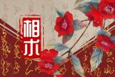 女人手相图解大全详解婚姻线 两条平行婚姻线夫妻不同心