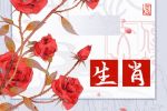 2022年1月16日什么生肖相冲 和什么不合