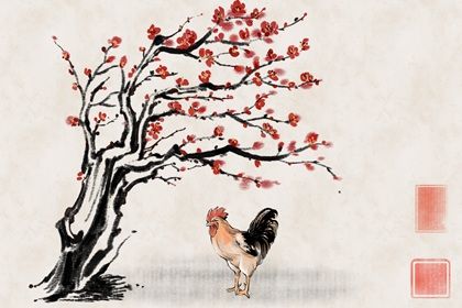 2022年属鸡人的全年运势最准 爱情运势上佳