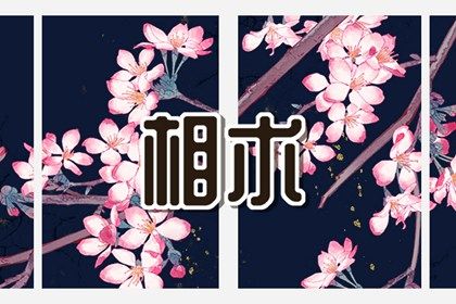 为什么左眉毛有痣很穷 有什么说法