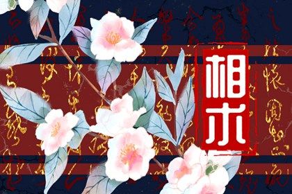 必注定富得流油的痣 太阳穴长痣十人九富