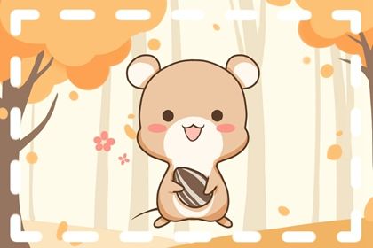 72年属鼠2022年运势及运程 壬寅年生肖鼠的运势如何