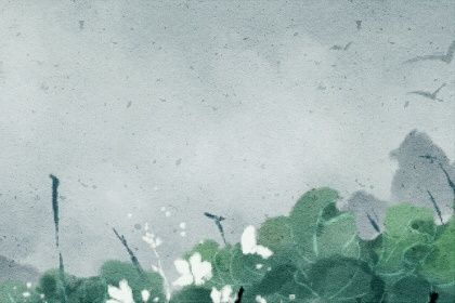 虎年是哪一年出生的 虎年出生的人性格命运分析