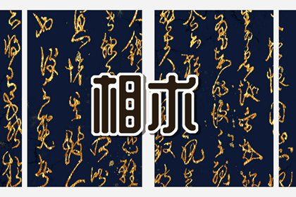 3颗发财痣大全 肚脐 耳朵 上唇