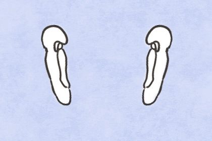 女人脸上的痣不好的 鼻梁上有痣容易有桃色纠纷