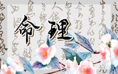 2021年12月28日属什么生肖 运气好不好