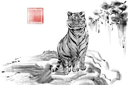 2022虎宝宝百年难遇 女娃都会比较兴旺