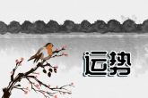 2022年属鸡大爆发 各个运势将受到威胁