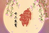 95年的多大了今年2022 22年属猪的运气怎么样