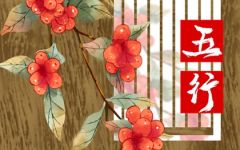 亥时出生的男孩五行缺什么 命运怎么样