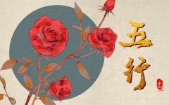 辰时五行属什么缺什么 未来命运发展如何