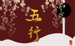 卯时出生的男孩五行缺什么  命运怎么样