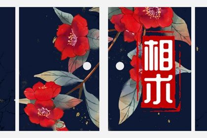 阴险狡诈的人面相 短眉无尾者则情义淡薄