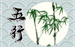 五行多金缺木怎么化解 有什么办法可以补救