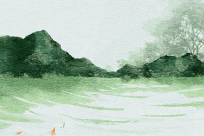 99年多大2022 属兔人在2022的运势会如何