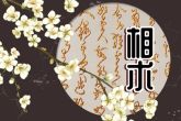 法令纹有痣 分析什么是法令纹