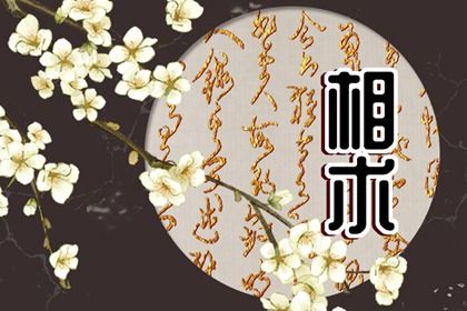 法令纹有痣 分析什么是法令纹
