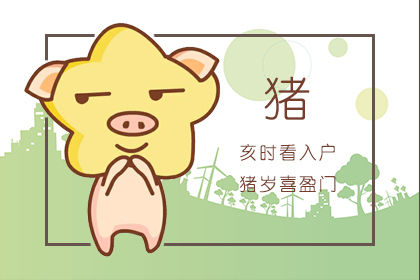 属猪人2022年运势运程每月运程 属猪人全年12个月运势