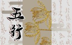 属牛卯时出生五行缺什么 性格坚毅百折不挠