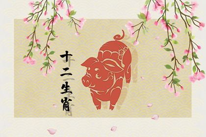 虎年最好的生肖 属猪2022年运势排第一