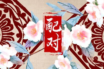 女鼠男猪婚姻相配吗 如何解析解析鼠与猪的婚姻