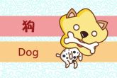 生肖狗2022虎年的运势 财运稳定但是感情平淡