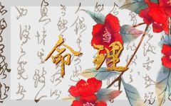 2022年1月11日属什么 这天出生的人事业兴旺