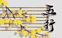 卯时出生的孩子五行缺什么 命运详解大全