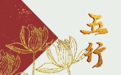 辰时出生五行属什么缺什么 将来命运如何