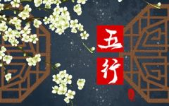 属牛酉时出生的五行缺什么 事业心强收获多