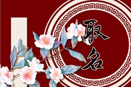 2022年属虎宝宝起名 好听的属虎女孩名字