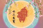 属猪上等命出生时辰 一生荣华富贵则享受不尽