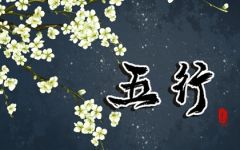2021年出生的孩子五行缺什么 命运发展走向