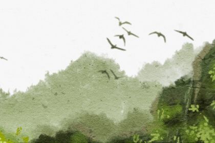大年三十出生的男孩命运怎么样 一生幸福美满不愁吃穿