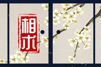 面相图解有痣 如何判别吉痣与恶痣