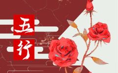 女孩申时五行缺什么 这个时辰出生好不好