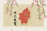 2007年属猪是土命还是火命 如何解析07年属猪人的命运