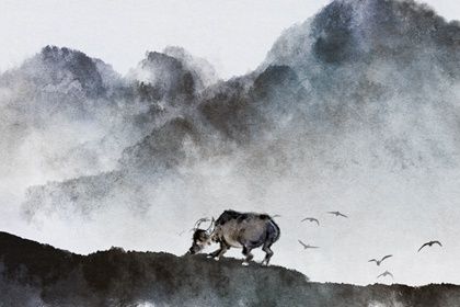 1937年属什么生肖属相 如何分析属牛人的命运