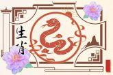 七七年属蛇的是什么命 丁巳蛇的五行命运如何