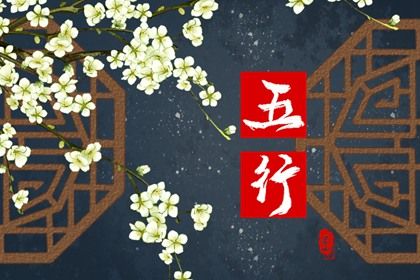 2026年五行属什么命 如何分析火马的命运