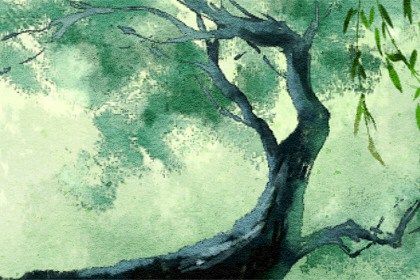 2022年正月初七出生的女宝宝好不好 分析此日出生的命运