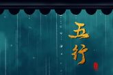 2004年五行属什么命 如何解析木猴人的命运