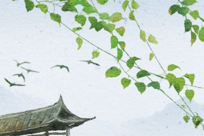 测八字取名字 解析八字天干地支五行关系