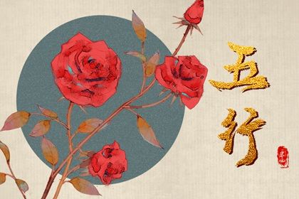五行属木的所有生意行业列表 分析什么是木命