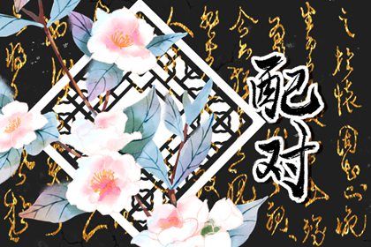 属鼠与属龙婚配好不好 属鼠跟属龙的人相配吗