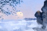 2022年正月初十的八字 五行旺缺喜用解析