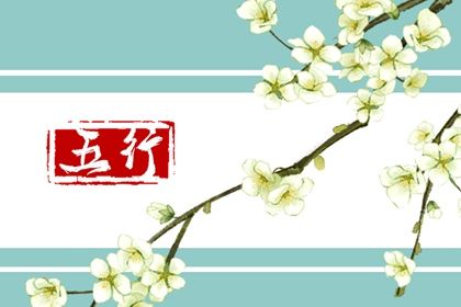 1982年五行属什么的是什么命 属狗人的命运分析