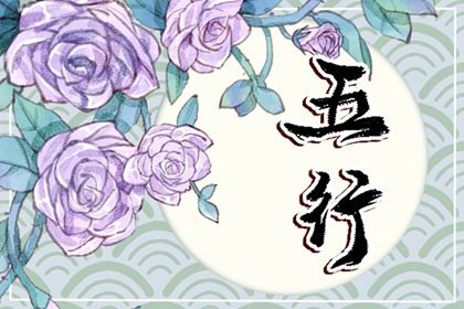 关于木的行业都有什么 如何分析五行属木的寓意